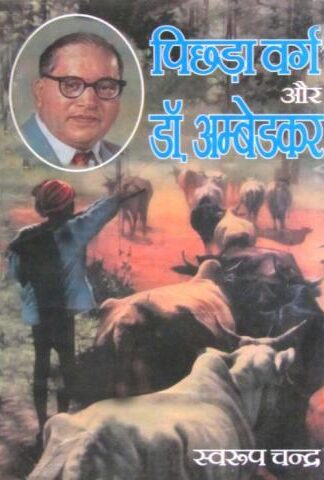 Picchra Varg Aur Dr. Ambedkar